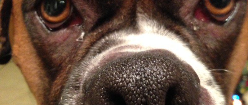 Whining is not a strategy for inbound marketing