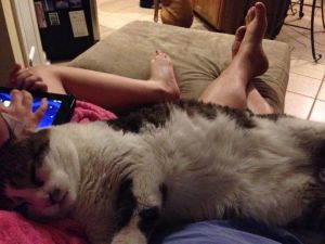 One of Chicory's favorite spots in the world, my stomach while sitting in the green chair.