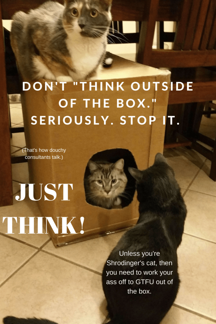 just think 3 cats around a box